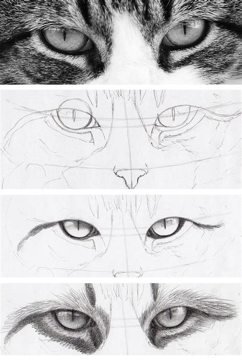 Fill in the space between a and b with ellipses. How to Draw Cat Eyes That Look Real