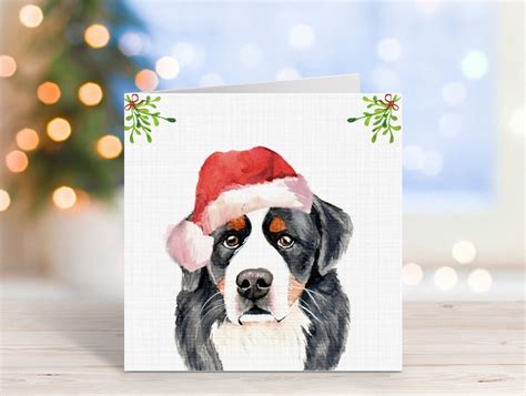 Bernese Mountain Dog Christmas Cardbmd In Santa Hatdog In Etsy Uk