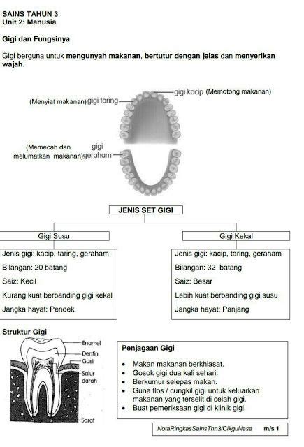 Peperiksaan Sains Tahun 5 Dlp