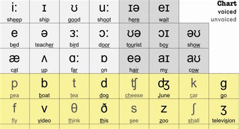 Phonetic Alphabet Transcription English Phonetic Symbols In The