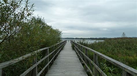 1,977 likes · 38 talking about this · 9,652 were here. Wandertipps - Federsee | Schwäbischer Albverein