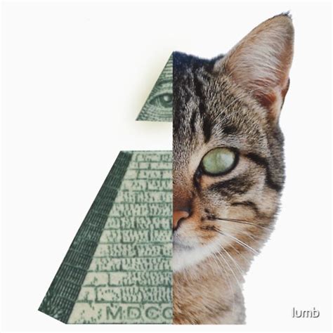 Illuminati Cat T Shirts And Hoodies By Lumb Redbubble