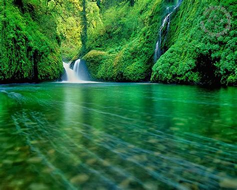 Wallpapers: Imagens Bonitas Para Papel de Parede