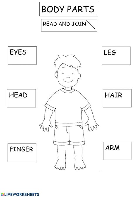 This worksheet includes 10 words about parts of the body with pictures. Body parts Interactive worksheet
