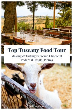 Podere Il Casale Sustainable Organic Cheese Farm In Tuscanys Pienza