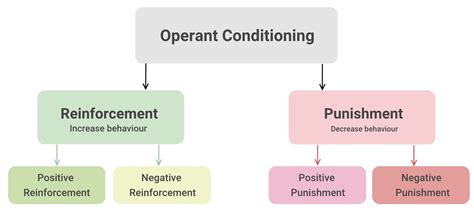 14 Best Examples Of Operant Conditioning Rankred