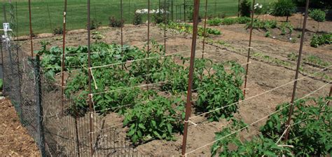 If you have a very small garden, simply moving plants. Practical Crop Rotation - A Second Look | My Everchanging ...