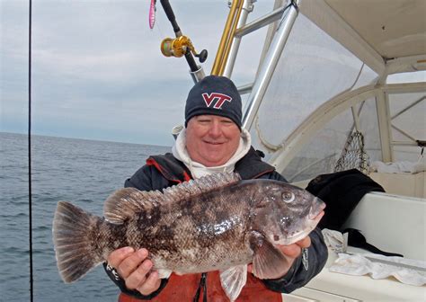 Virginia Beach Saltwater Fishing Report Virginia To Hatteras Nc