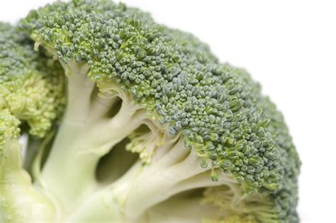 Fresh Head Of Broccoli 7831 Stockarch Free Stock Photo Archive