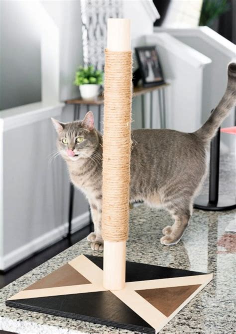 15 Best Diy Cat Scratching Post Plans • Its Overflowing