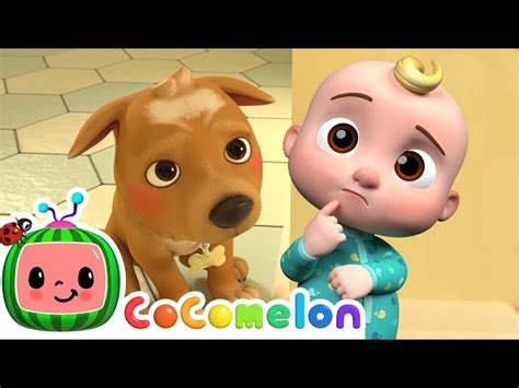 I Love My Dog Bingo Cocomelon Animal Time Animals For Kids Videos
