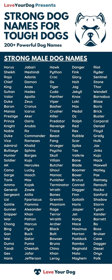 Tough Dog Names 200 Strong And Powerful Names For Male Dogs Tough Dog