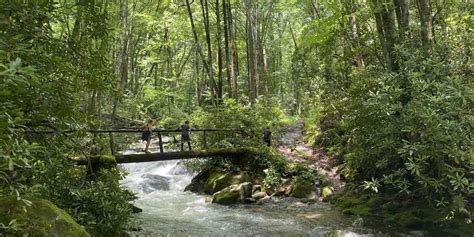 Best Things To Do In Smoky Mountains National Park Itinerary Included