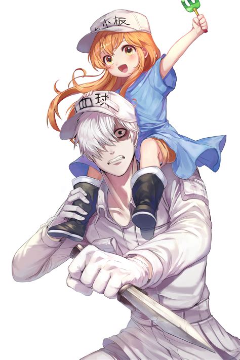 One newcomer red blood cell just wants to do her job. platelet, white blood cell, and u-1146 (hataraku saibou ...