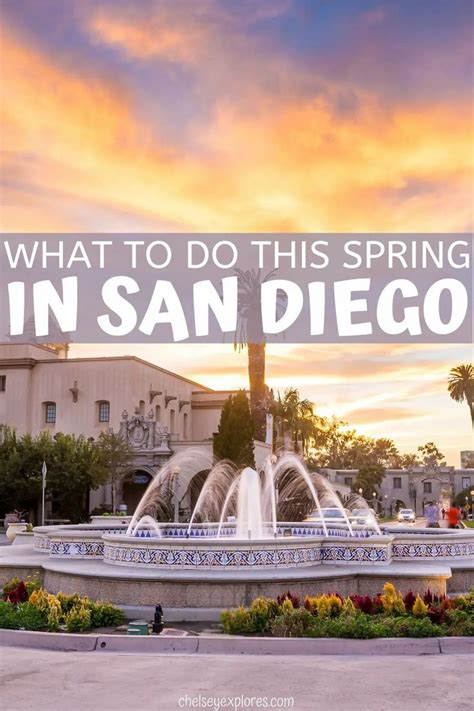 What To Do This Spring In San Diego In 2021 San Diego Travel