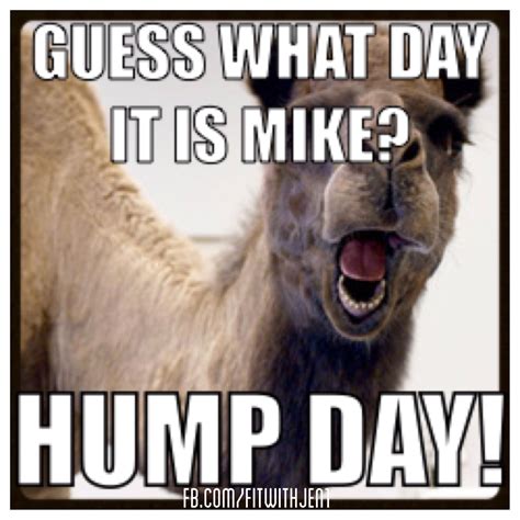 Geico Hump Day Meme