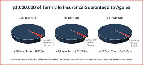 Insuring Your Economic Value with Term Life Insurance | Risk Resource