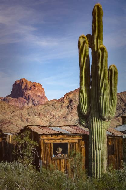 Saguaros have a relatively long lifespan, often exceeding 150 years. Zenfolio | DBoucher Photography | Saguaro Cactus 101