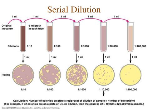 Serial Dilution