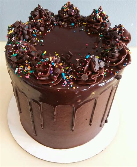 Chocolate layer cake with cheesecake filling food network. Chocolate sprinkle cake - Hayley Cakes and CookiesHayley ...