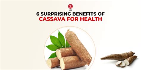 Informação Nutricional De Cassava