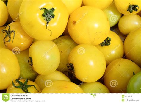 Totally tomatoes is family owned & operated. Yellow Tomato Stock Photo - Image: 51732610