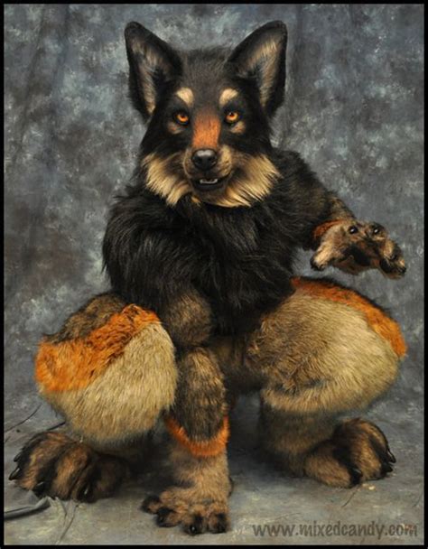 Fursuits Real Fursuits Furry Suit Furry Wolf Animal Costumes