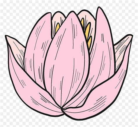Pink Water Lily Clipart Hd Png Download Vhv