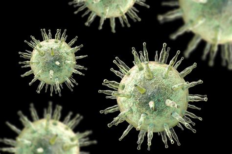 Epstein Barr Virus Can Reactivate In Long Covid