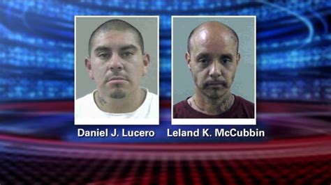 The restraining order shines a light on more bizarre behavior on the part of young, who was arrested three times in the course of a week, including twice in one day. Federal lawsuits filed over Ogden gang restraining orders