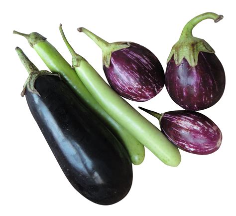Check spelling or type a new query. Brinjal Eggplant PNG Image - PngPix