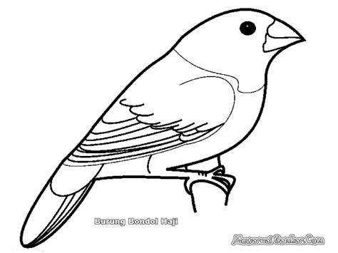 Download gambar sketsa lovebird koran madura docslide br gambar. Terbaru 30+ Gambar Burung Kartun