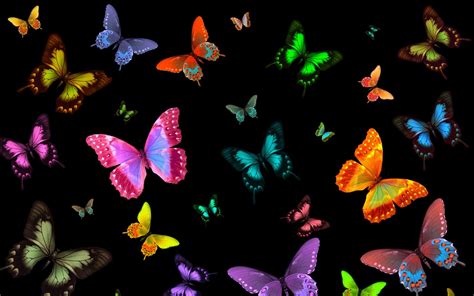 Black Butterfly Background 59 Images