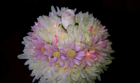 We did not find results for: Light up silk flower birthday "cake". Made from a ...