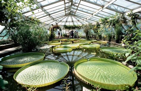 Hier lagern die wertvollen bestände des ehemals königlichen herbariums. Una notte d'incanto nell'orto botanico di Berlino