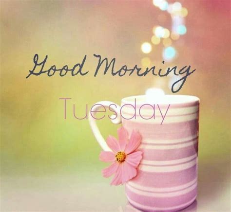 Maybe you would like to learn more about one of these? Good Morning Quotes Tuesday Funny. QuotesGram