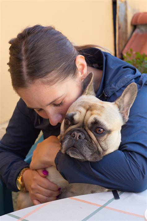 French Bulldog Adoption: A Guide to Welcoming a New Companion into Your