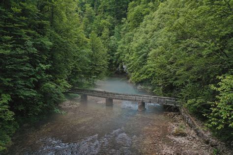 Početna hrvatske regije nacionalni parkovi i parkovi prirode nacionalni park risnjak. Nacionalni park Risnjak - Domagoj Sever