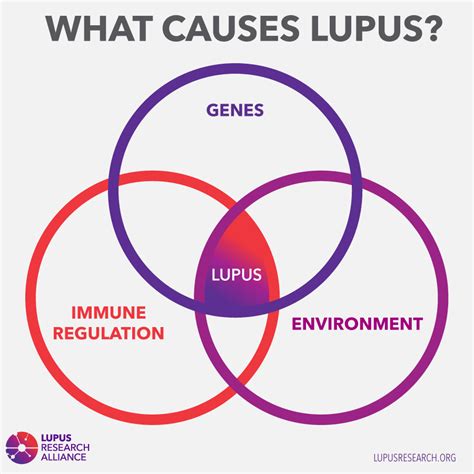 Downloads Lupus Treatment Resources Lupus Research Alliance