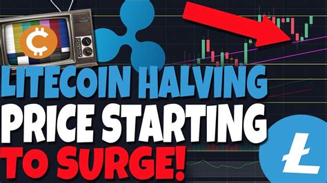 It might even go up the ranking order and who knows might even come out as one of the user's favorite crypto. Litecoin Halving Is Going To Start A Price Surge! WHAT YOU ...
