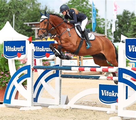 Das sind die höhepunkte am donnerstag, 29. Reiten: Ein Quartett im Regio-Kader - Reiten ...
