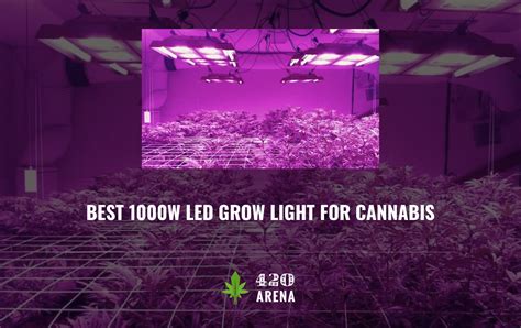 Whole foods market america's healthiest. Best 1000w LED Grow Lights for Cannabis 2020: [Complete ...