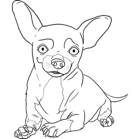 COLOREAR DIBUJOS DE CHIHUAHUAS