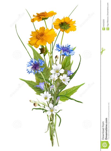 Collection bouquet fleurs des champs. Bouquet Des Fleurs Sauvages De Champ, Couleurs De Pâques ...