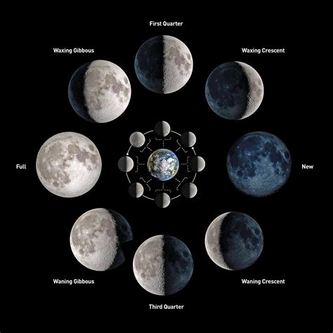 8 Moon Phases