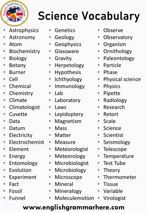 Science Vocabulary Words Definition And Examples Science Vocabulary