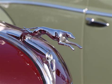 Edsel Ford, Ford V8, Car Fails, African Plains, Hound Breeds, Horse