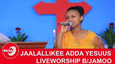 jaalallee kee adda yesuus live worship toosiftoota mana sagadaa beetel jamoo youtube