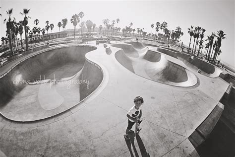 Skateboard Photos Venice Beach Cali California Palm Trees Usa