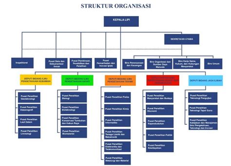 Struktur Organisasi Pengertian Jenis Manfaat Tips Dalam Membuatnya My Xxx Hot Girl